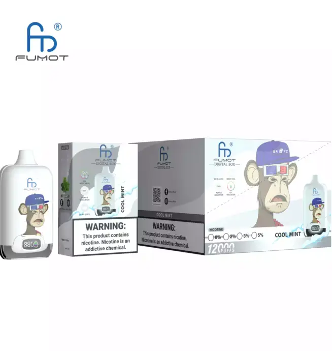 RandM Fumot Digital Box 12000 Puffs Cool Mint Smaakervaring