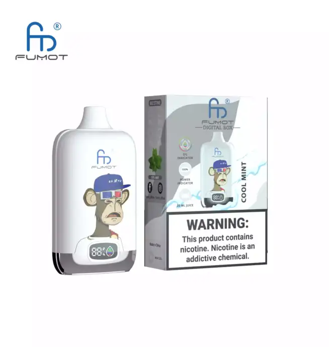RandM Fumot Digital Box 12000 Puffs Cool Mint Smaakervaring