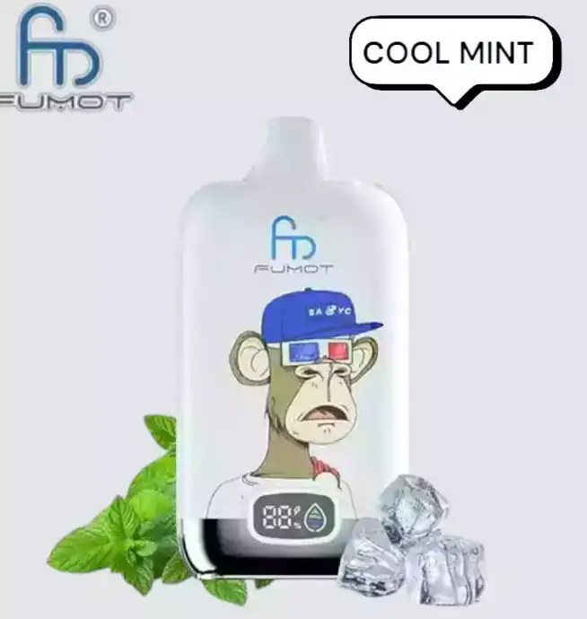 RandM Fumot Digital Box 12000 Puffs Cool Mint Smaakervaring