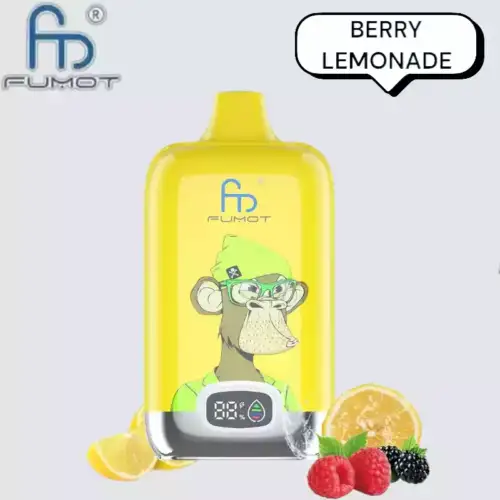RandM Fumot Digital Box 12000 Puffs Disposable Vape Berry Lemonade