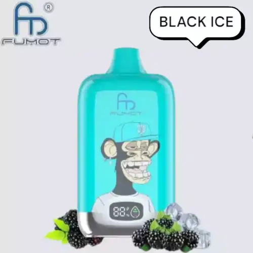 RandM Fumot Digital Box 12000 Puffs Disposable Vape Black Ice