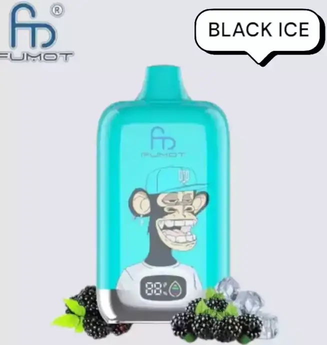 RandM Fumot Digital Box 12000 Puffs Disposable Vape Black Ice