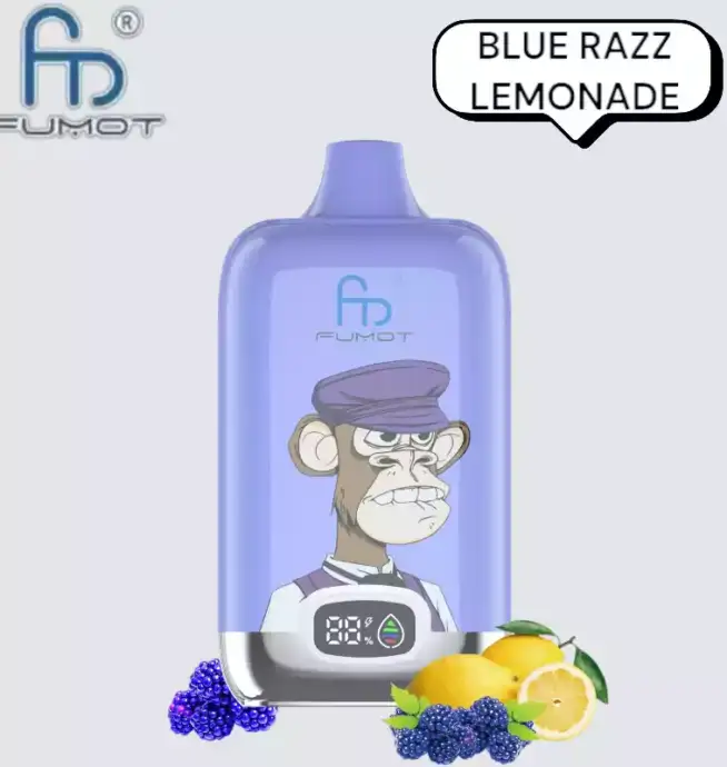 RandM Fumot Digital Box 12000 Puffs Disposable Vape Blue Razz Lemonade