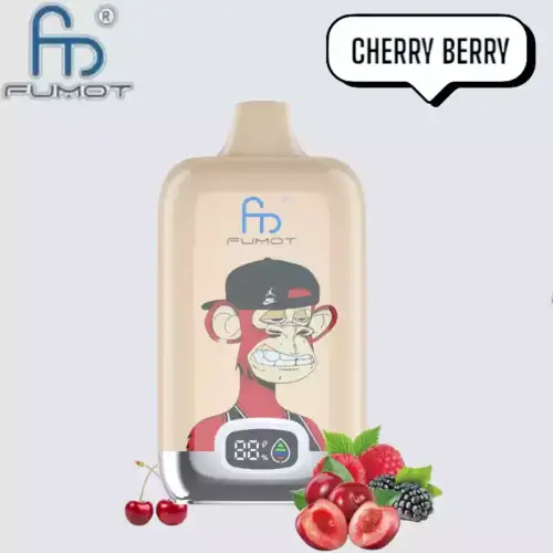 RandM Fumot Digital Box 12000 Puffs Disposable Vape Cherry Berry