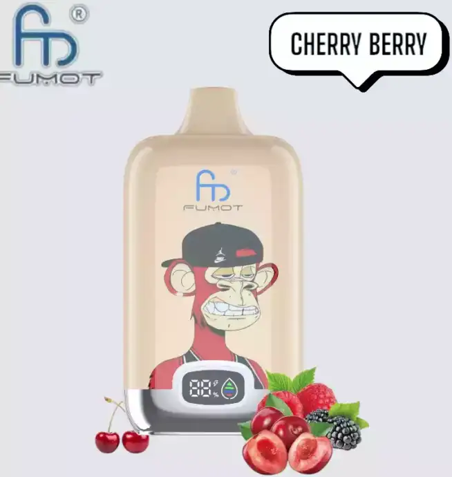 RandM Fumot Digital Box 12000 Puffs Disposable Vape Cherry Berry