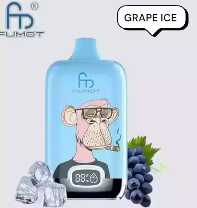 RandM Fumot Digital Box 12000 Puffs Disposable Vape Grape Ice Sensatie