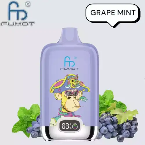 RandM Fumot Digital Box 12000 Puffs Disposable Vape Grape Mint