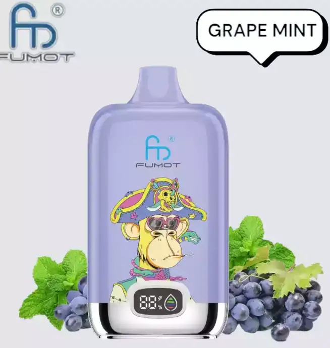 RandM Fumot Digital Box 12000 Puffs Disposable Vape Grape Mint