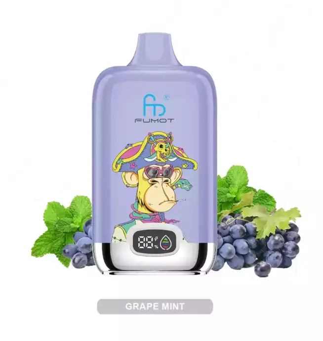 RandM Fumot Digital Box 12000 Puffs Disposable Vape Grape Mint