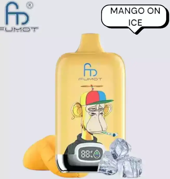 RandM Fumot Digital Box 12000 Puffs Disposable Vape Mango on Ice