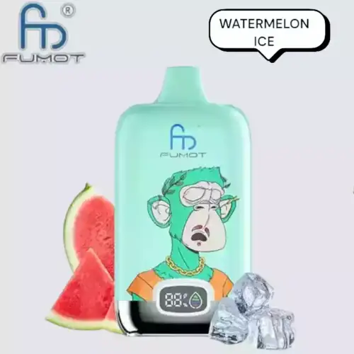 RandM Fumot Digital Box 12000 Puffs Disposable Vape Watermelon Ice
