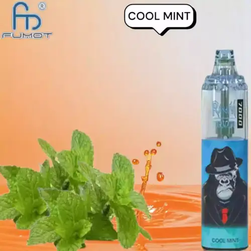 RandM Tornado 7000 Puffs Disposable Vape Cool Mint