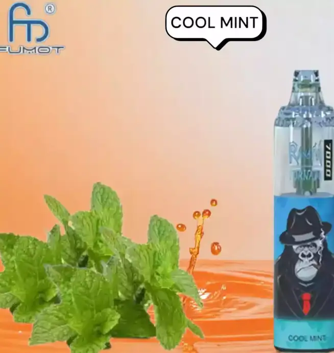 RandM Tornado 7000 Puffs Disposable Vape Cool Mint