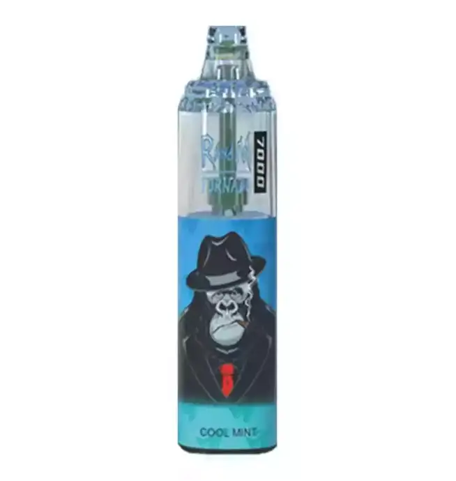 RandM Tornado 7000 Puffs Disposable Vape Cool Mint