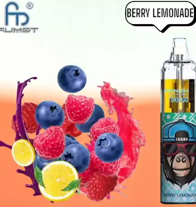RandM Tornado 7000 Puffs Vape – Bessenlimonade