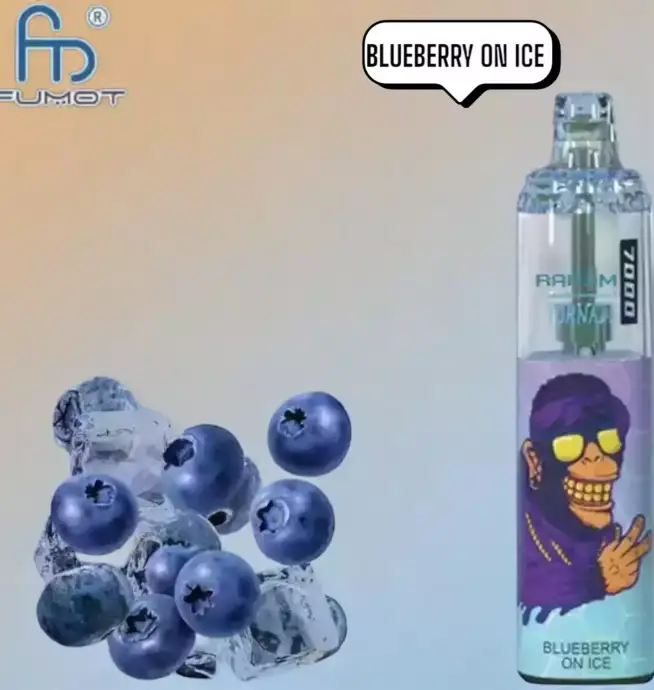 RandM Tornado 7000 Puffs Vape – Blueberry on Ice