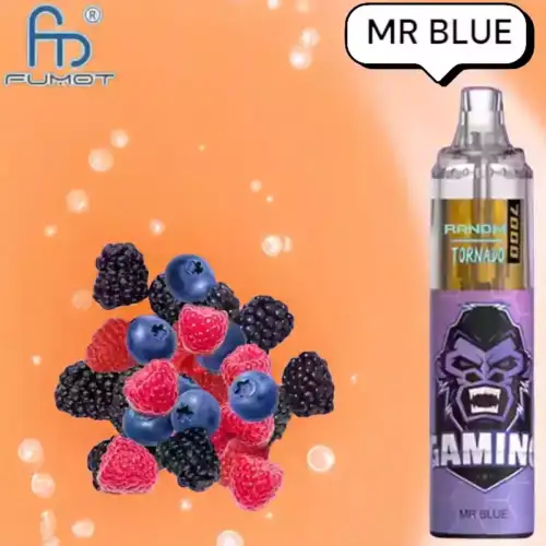 RandM Tornado 7000 Puffs Vape – Mr. Blue