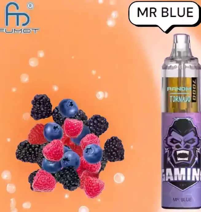 RandM Tornado 7000 Puffs Vape – Mr. Blue