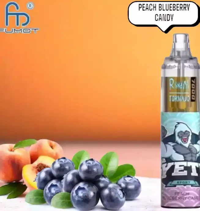 RandM Tornado 7000 Puffs Vape – Perzik-bosbessensnoep