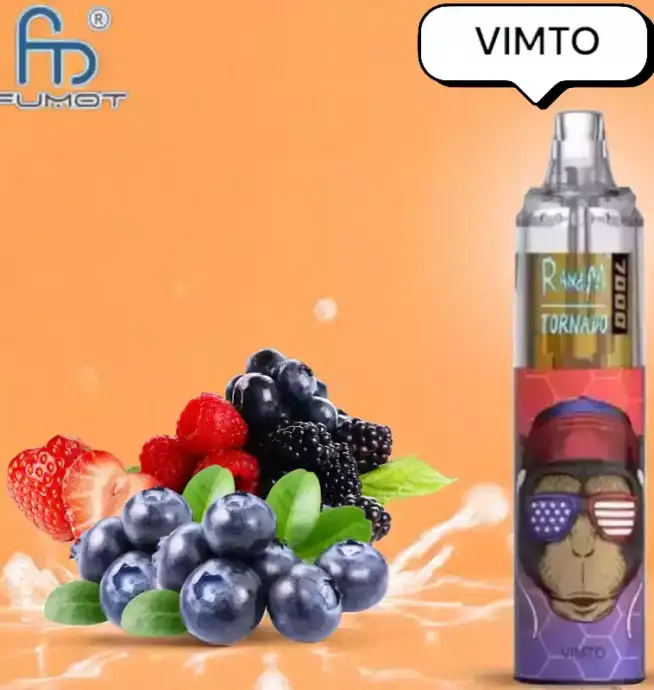 RandM Tornado 7000 Puffs Vape – Vimto