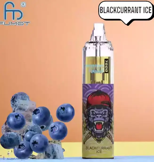 RandM Tornado 7000 Puffs Vape – Zwarte bessenijs