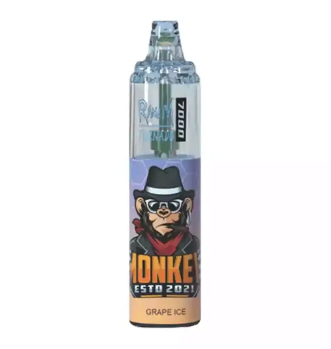 RandM Tornado 7000 puffs Krachtige Disposable Vape met Muziek en 56 Smaken