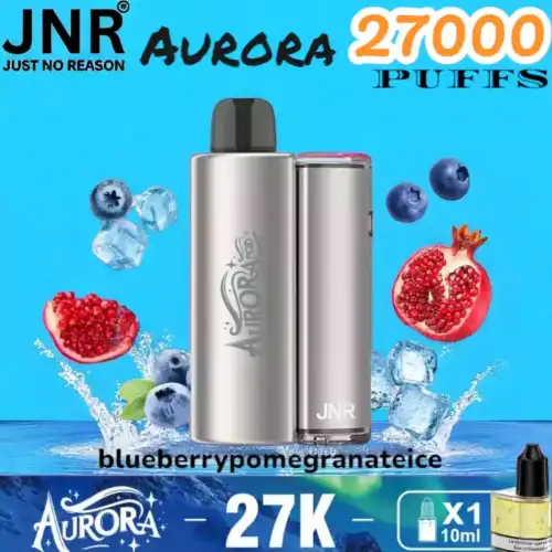 JNR Aurora 27000 Puffs Oplaadbare Vape met 27000 Puffs