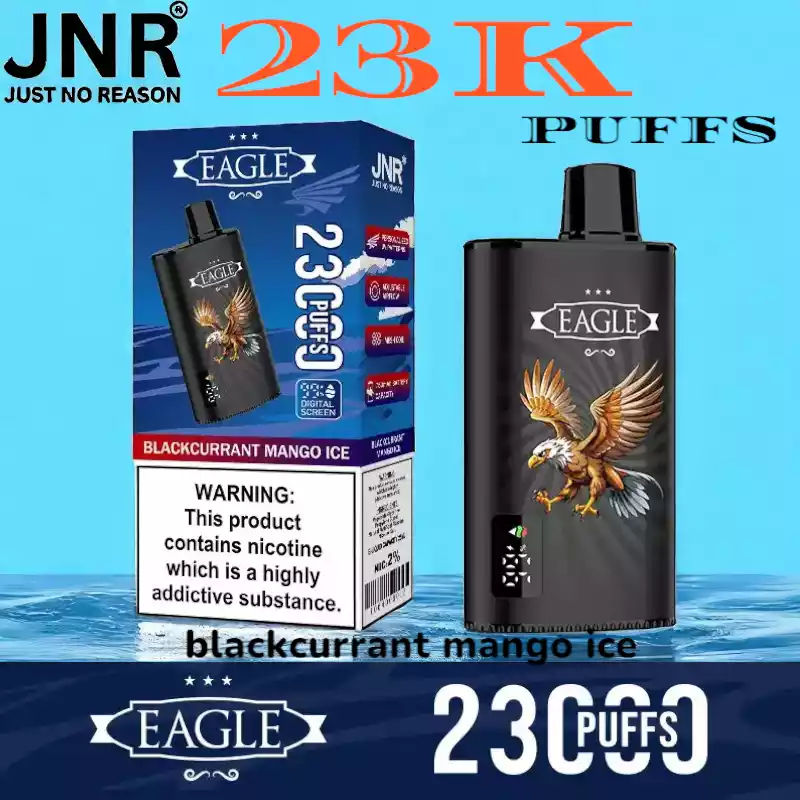JNR EAGLE 23000 Puffs 25ml Vape met Display en Airflow