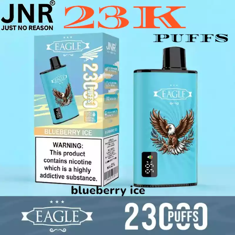 JNR EAGLE 23000 Puffs 25ml Vape met Display en Airflow