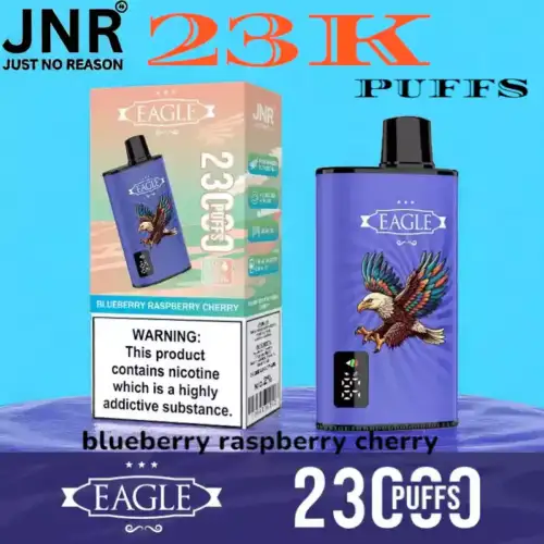 JNR EAGLE 23000 Puffs 25ml Vape met Display en Airflow