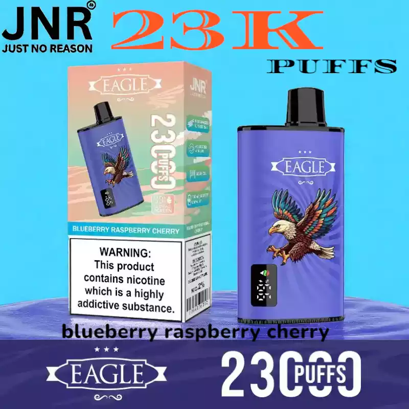 JNR EAGLE 23000 Puffs 25ml Vape met Display en Airflow