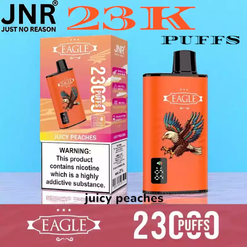 JNR EAGLE 23000 Puffs 25ml Vape met Display en Airflow