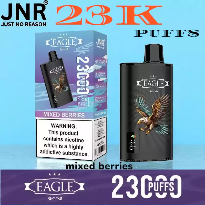 JNR EAGLE 23000 Puffs 25ml Vape met Display en Airflow