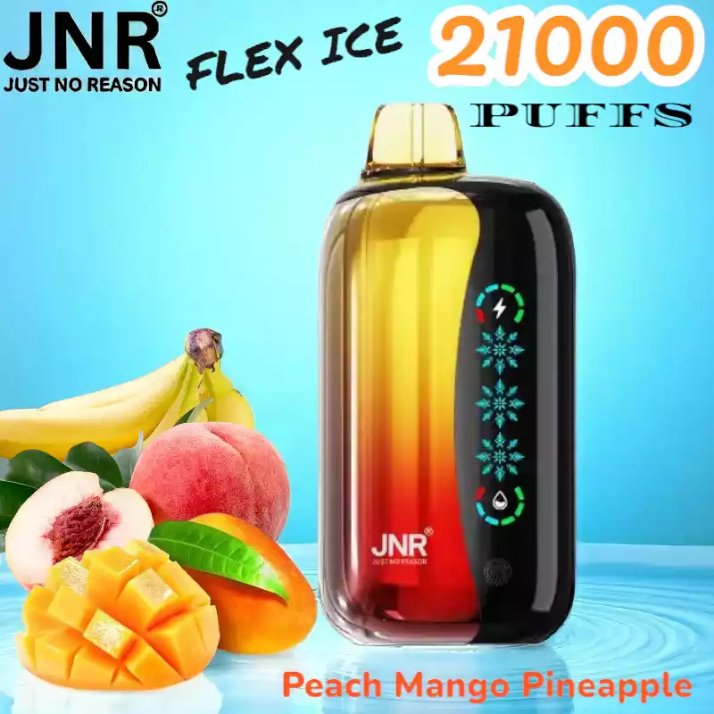 JNR FLEX ICE 21000 Puffs Navulbare Vape met ICE Effect