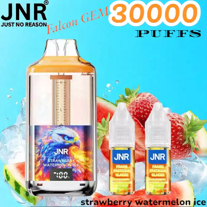 JNR Falcon GEM 30000 PUFFS 30K Trekken Display en Top-Fill
