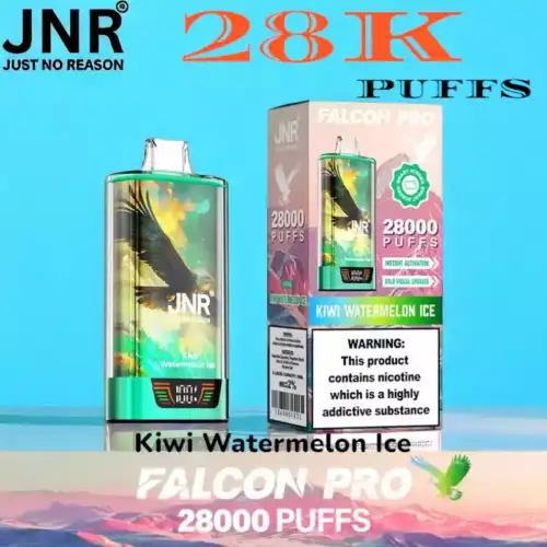 JNR Falcon Pro 28K Puffs 30ml Vape met Smart Screen & Coil
