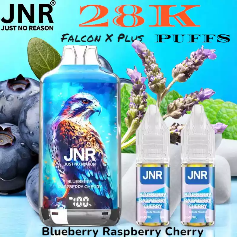 JNR Falcon X Plus 28K Puffs 20ml Vape met Display en Refill