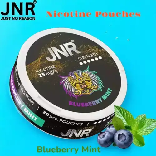 JNR Nicotine Pouches Sterke Tabakvrije Zakjes met 25mg Nicotine
