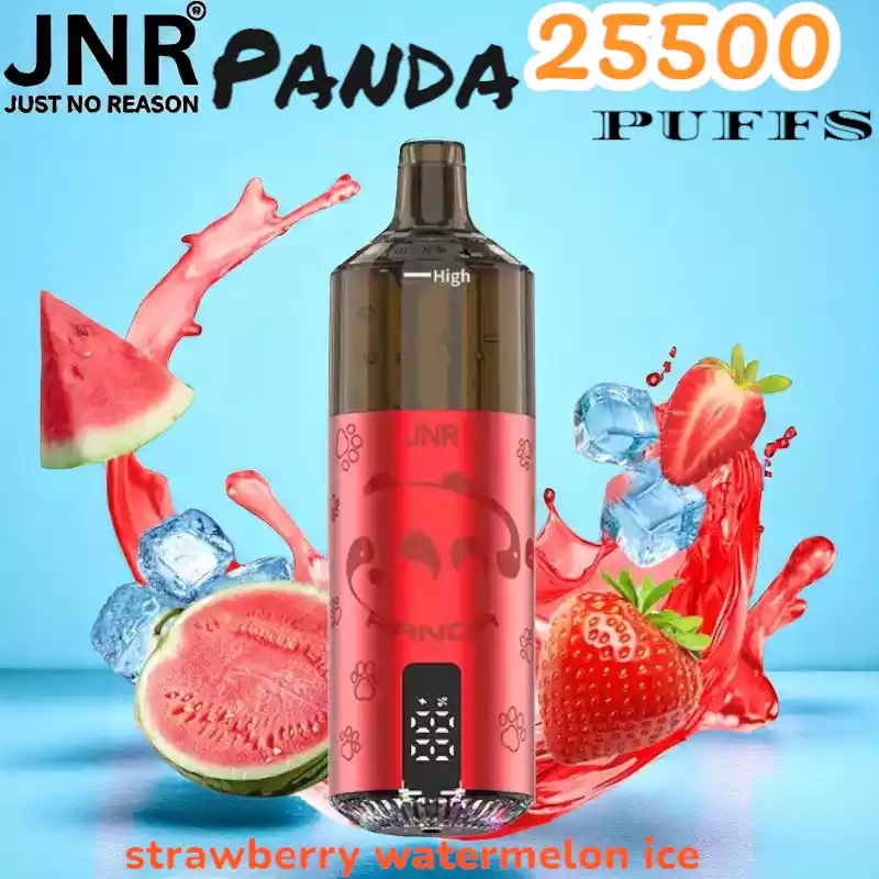 JNR Panda 25500 Puffs Oplaadbare Vape met 25.500 Puffs