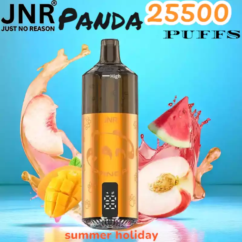 JNR Panda 25500 Puffs Oplaadbare Vape met 25.500 Puffs