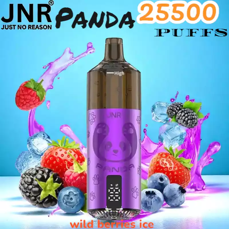 JNR Panda 25500 Puffs Oplaadbare Vape met 25.500 Puffs