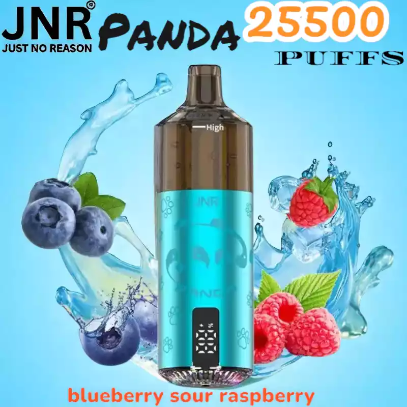 JNR Panda 25500 Puffs Oplaadbare Vape met 25.500 Puffs