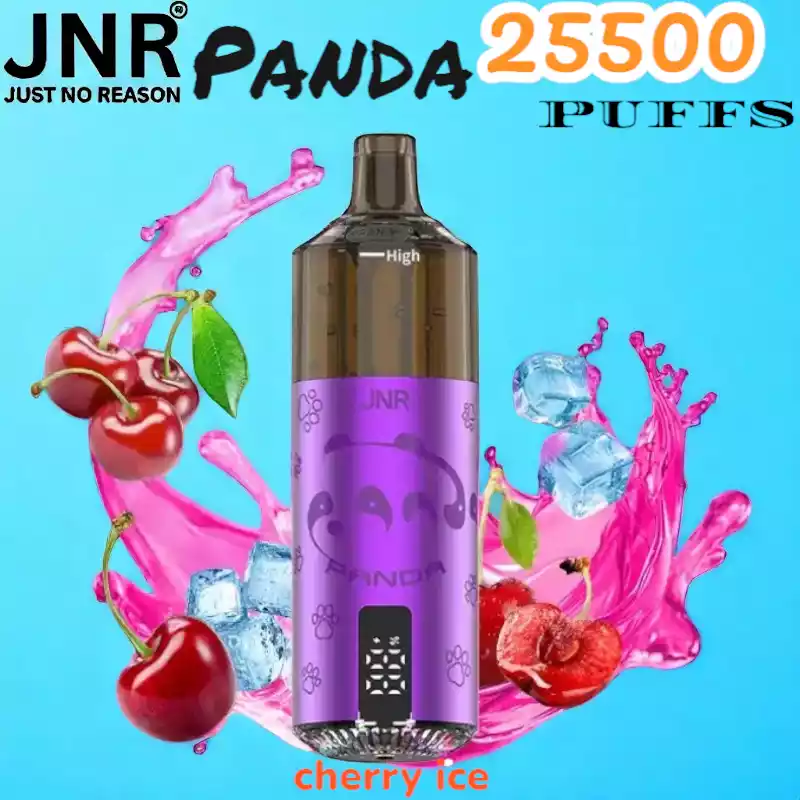 JNR Panda 25500 Puffs Oplaadbare Vape met 25.500 Puffs