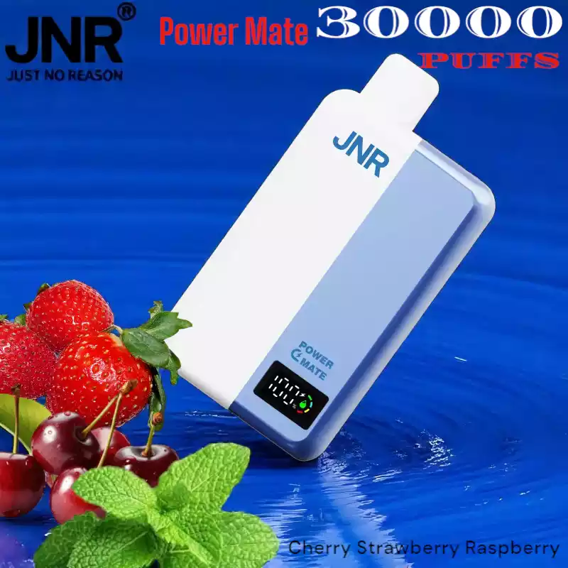 JNR Power Mate 30000 Puffs met 5000mAh en Dual Mesh Coil