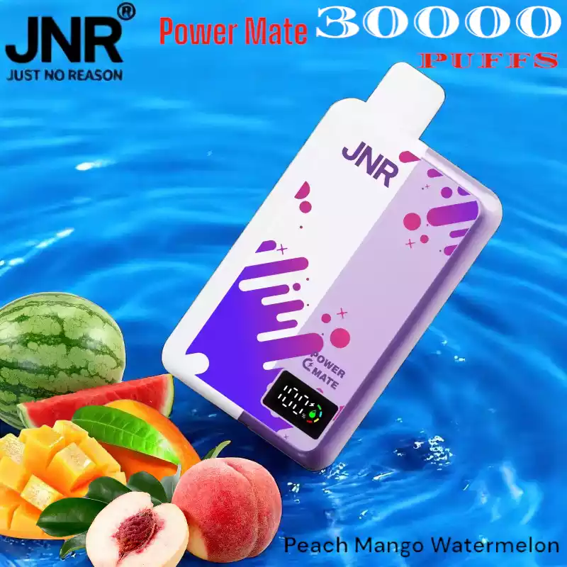 JNR Power Mate 30000 Puffs met 5000mAh en Dual Mesh Coil