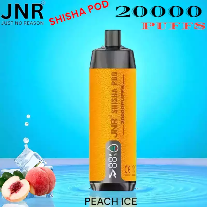 JNR SHISHA POD 20000 Puffs Vape met DTL en Mesh Coil