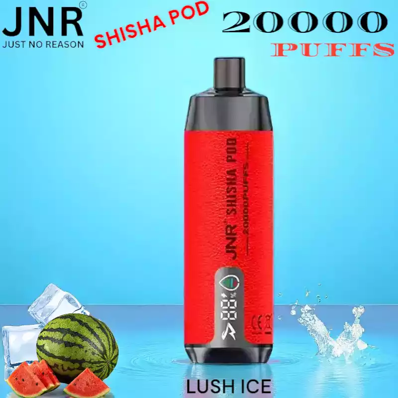 JNR SHISHA POD 20000 Puffs Vape met DTL en Mesh Coil