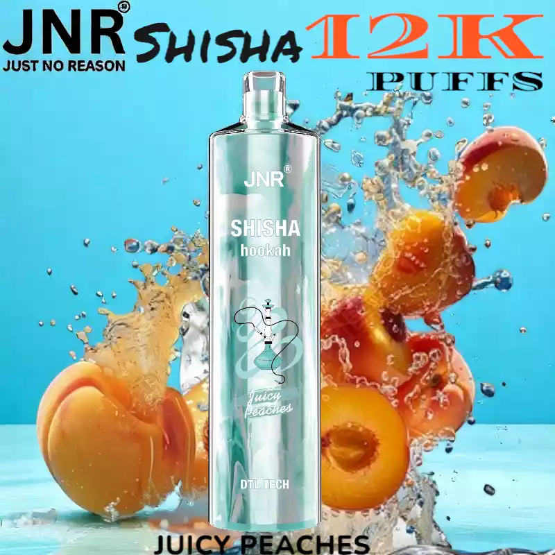JNR Shisha 12K Puffs Sterke DTL Vape met 16ml E-liquid