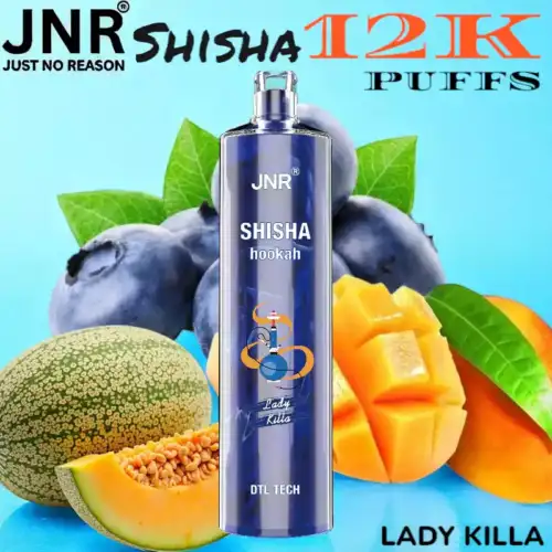 JNR Shisha 12K Puffs Sterke DTL Vape met 16ml E-liquid