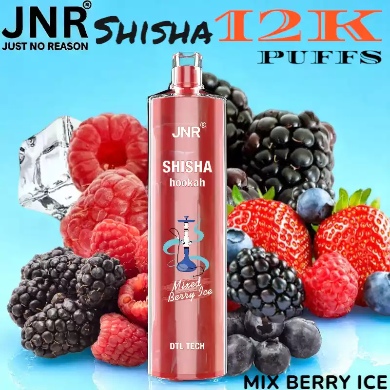 JNR Shisha 12K Puffs Sterke DTL Vape met 16ml E-liquid